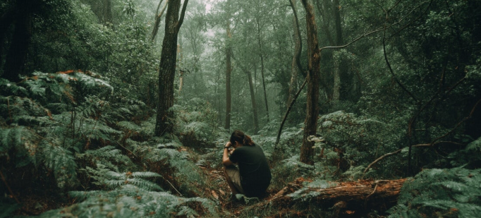 Lost in the Wilderness: Could You Stay Alive?