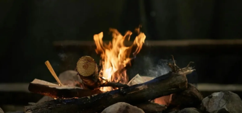 When you're playing pyromaniac, which materials make for the ultimate fire-starting kindling?