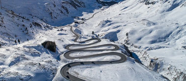 Which nifty driving talent helps you survive those twisty, hairpin turns in Europe’s Alps?