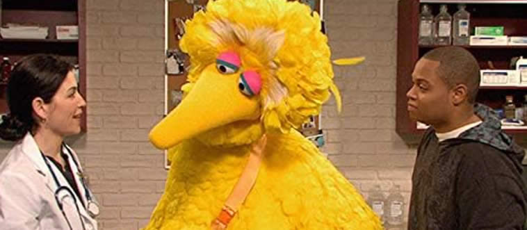 Identify this vintage PBS TV series.