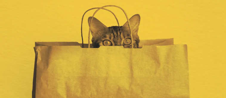 Spill the feline from the ____.